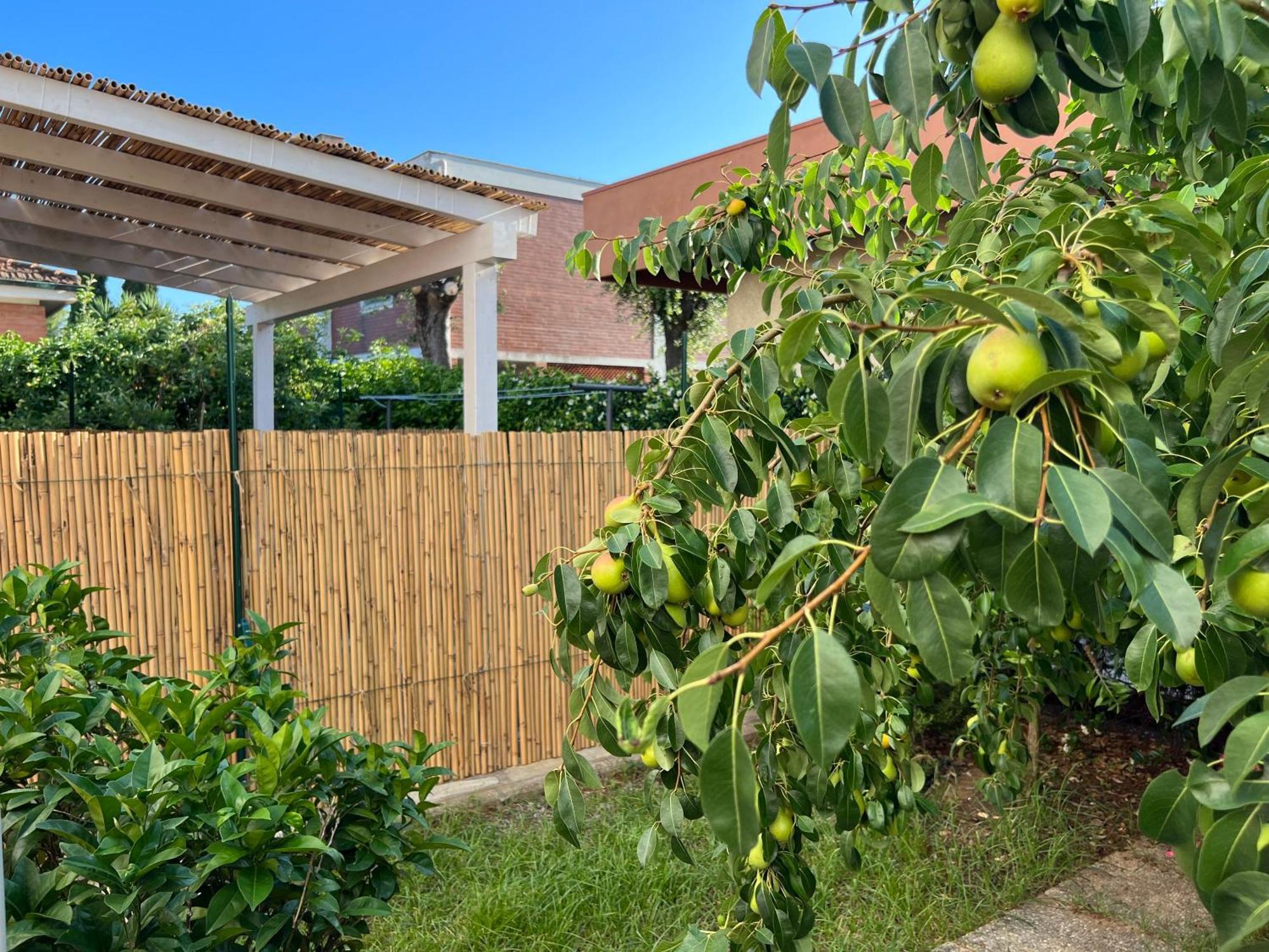 Civiconove Appartement Piombino Buitenkant foto